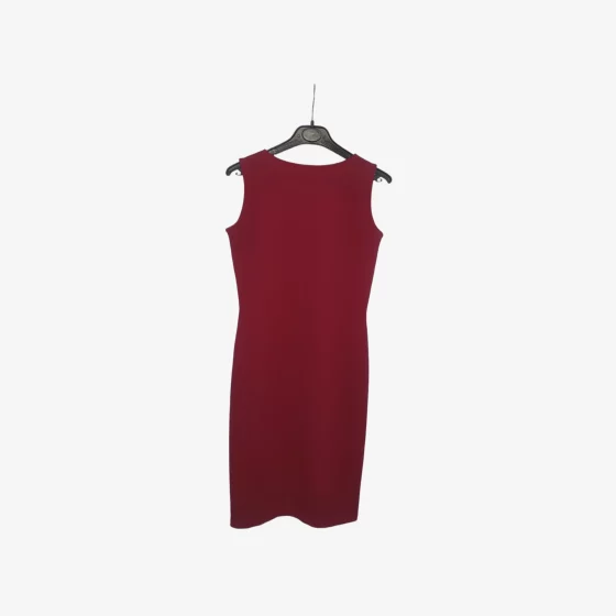 solerio-dresses-sleeveless-form-fitting-burgundy-dress-back-view