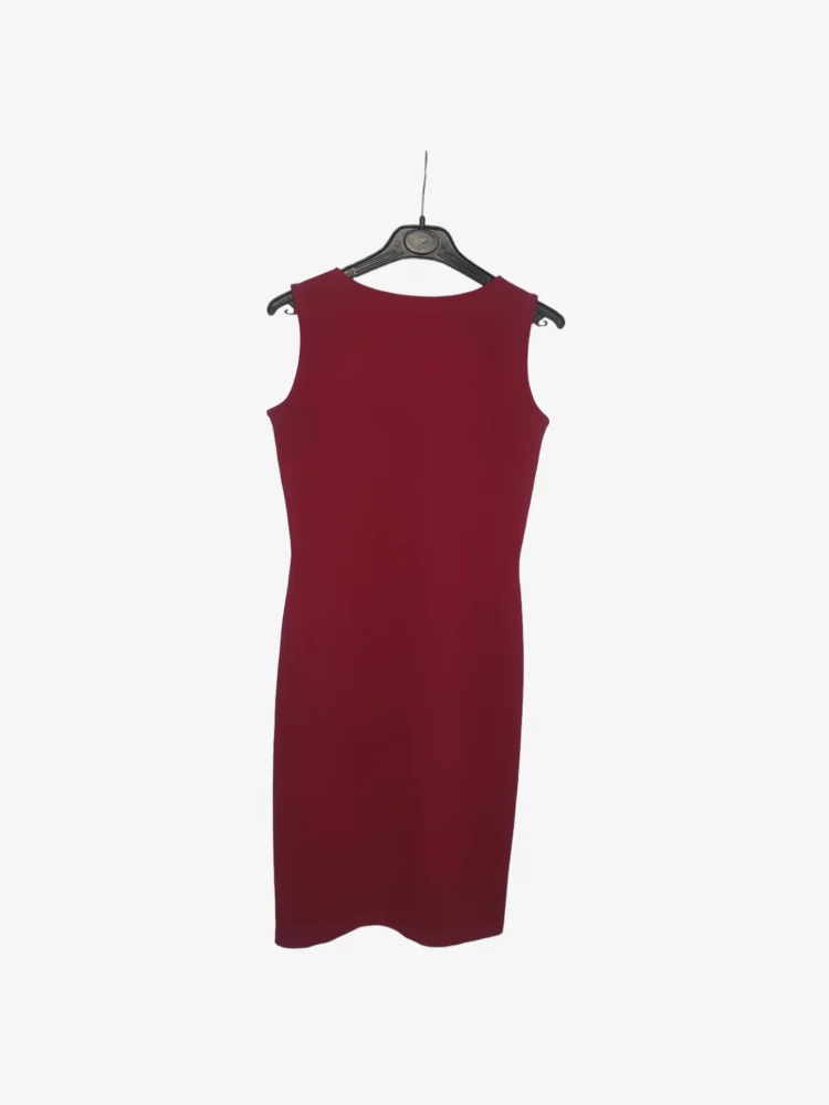 solerio-dresses-sleeveless-form-fitting-burgundy-dress-back-view